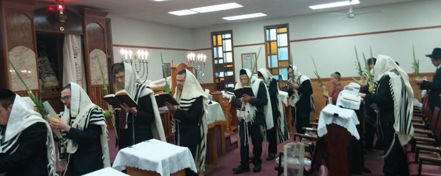 Davening at Bnai Israel Beth Yehudah